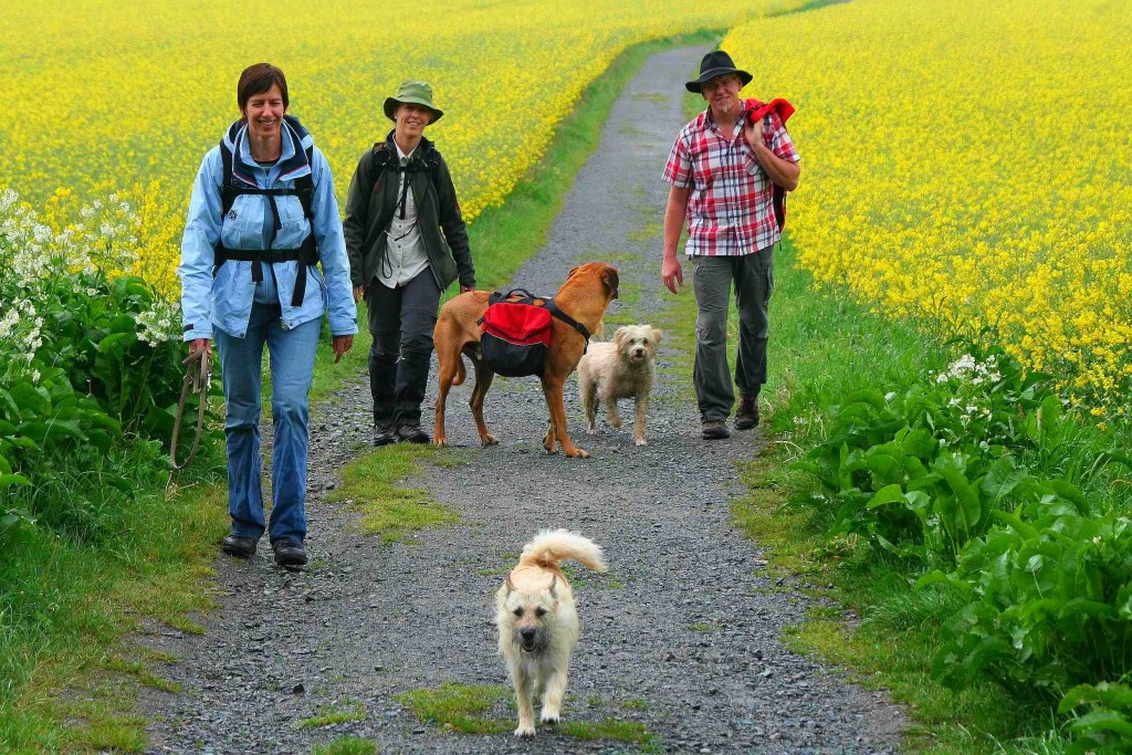 Ulrich Vogel auf Wanderschaft mit Hunden • Quelle: Ulrich Vogel - www.hundewandern.de
